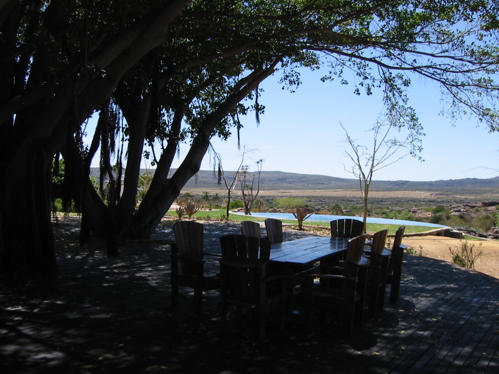 Chill-out under the shade of this magnificent tree during our South African Gay Tour
