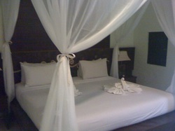 Picture of gay resort bedroom